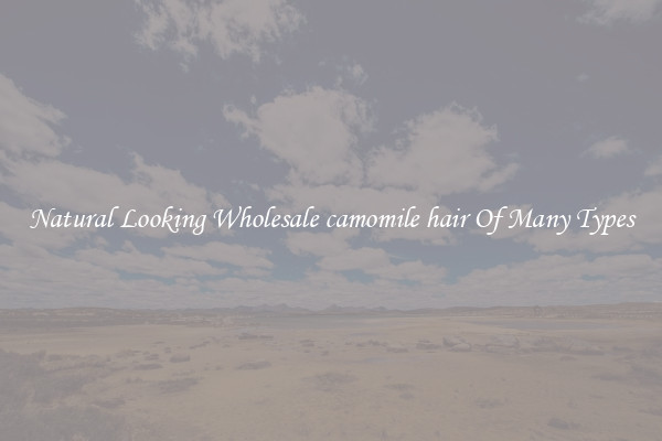 Natural Looking Wholesale camomile hair Of Many Types