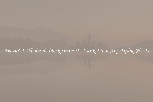 Featured Wholesale black steam steel socket For Any Piping Needs
