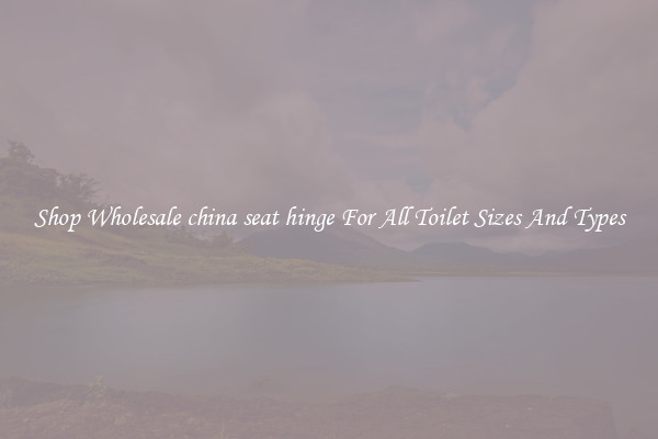 Shop Wholesale china seat hinge For All Toilet Sizes And Types