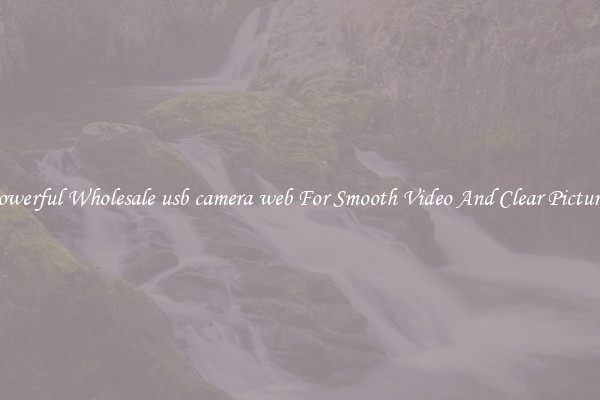 Powerful Wholesale usb camera web For Smooth Video And Clear Pictures