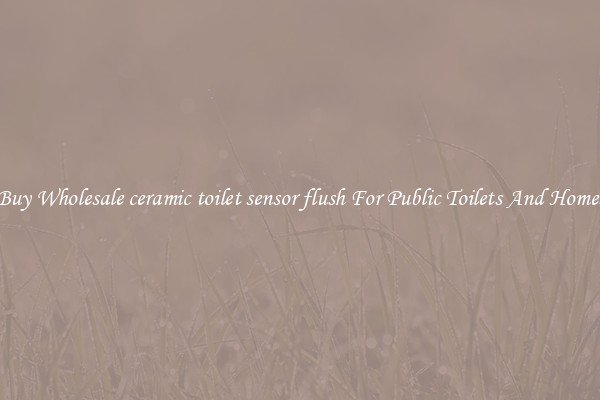 Buy Wholesale ceramic toilet sensor flush For Public Toilets And Homes