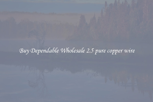 Buy Dependable Wholesale 2.5 pure copper wire