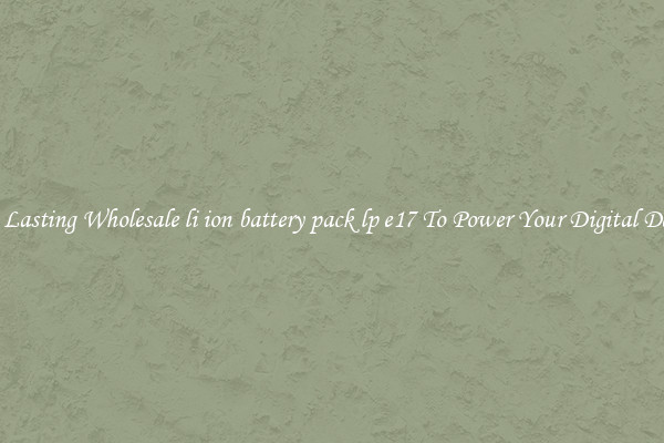 Long Lasting Wholesale li ion battery pack lp e17 To Power Your Digital Devices