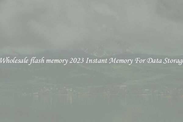 Wholesale flash memory 2023 Instant Memory For Data Storage
