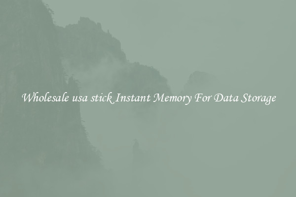 Wholesale usa stick Instant Memory For Data Storage
