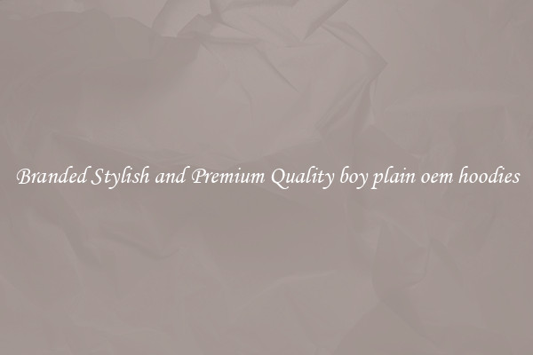 Branded Stylish and Premium Quality boy plain oem hoodies