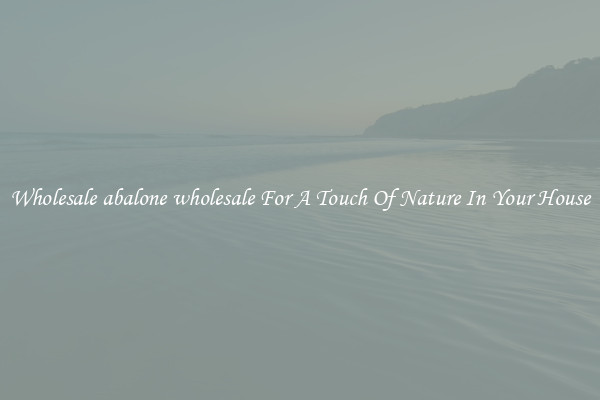 Wholesale abalone wholesale For A Touch Of Nature In Your House
