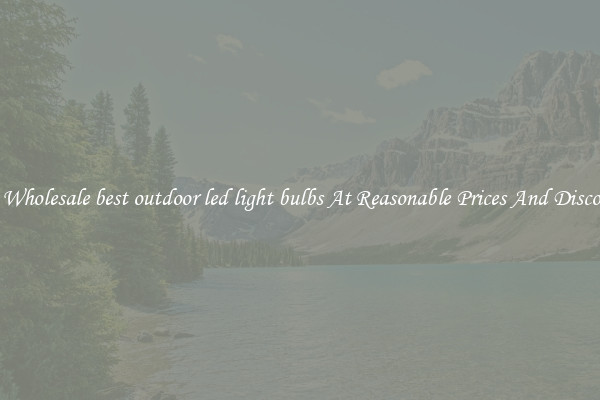 Buy Wholesale best outdoor led light bulbs At Reasonable Prices And Discounts