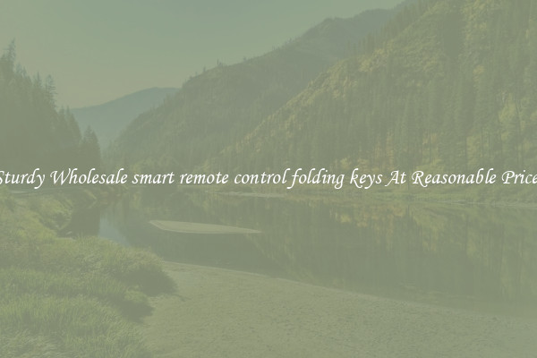 Sturdy Wholesale smart remote control folding keys At Reasonable Prices