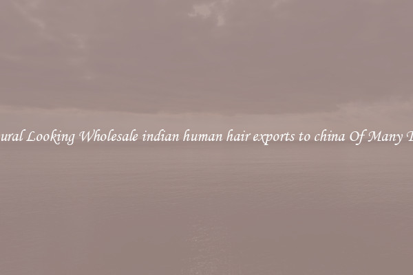 Natural Looking Wholesale indian human hair exports to china Of Many Types