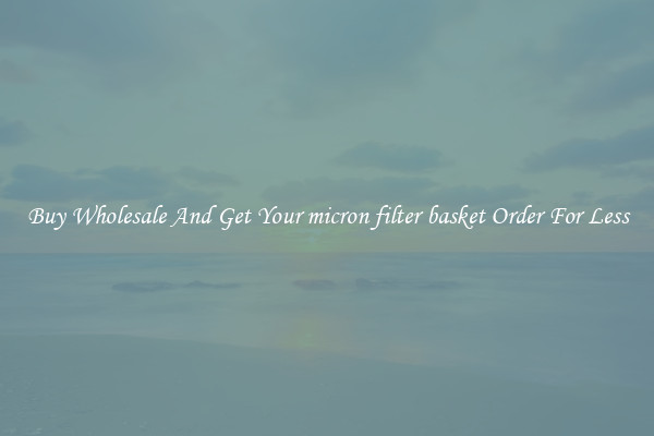 Buy Wholesale And Get Your micron filter basket Order For Less