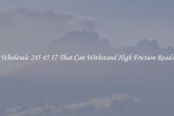 Wholesale 245 45 17 That Can Withstand High Friction Roads